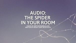 Audio: The Spider In Your Room Porn Videos